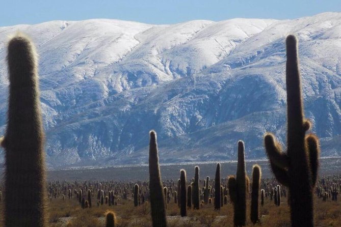 One Day Tour of Cachi and Calchaquí Valleys From Salta
