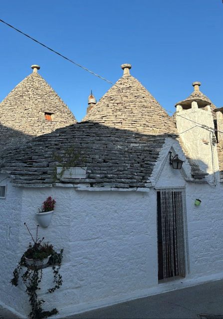 One Day Trip to Ostuni and Alberobello - Trip Overview