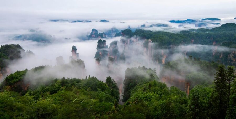 One Day Zhangjiajie National Forest Park Package Tour - Tour Overview