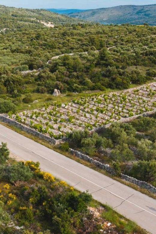 One Way Private Transfer From Dubrovnik to Split