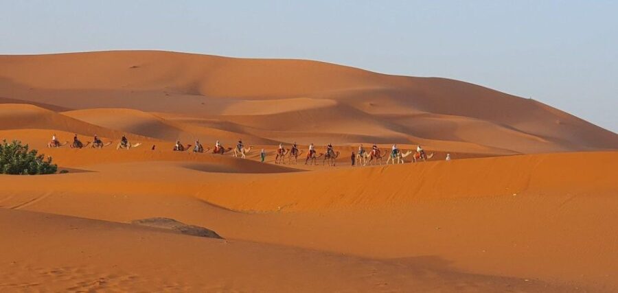 One Way Trip From Fez to Merzouga (Only Transportation )