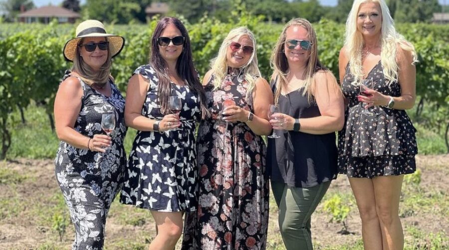 Ontario: Afternoon Wine Tour and Cheese Pairing