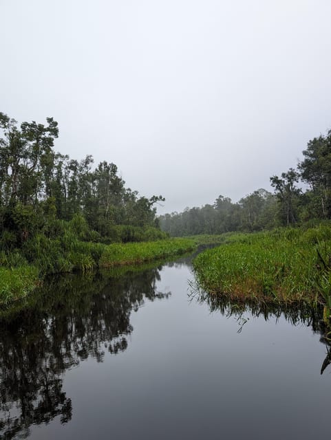 Orangutan Kalimantan 4 Days Trip (Start From Bali). - Trip Overview and Pricing