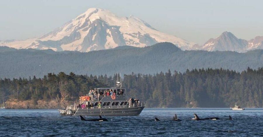 Best Guided Tours In Orcas Island