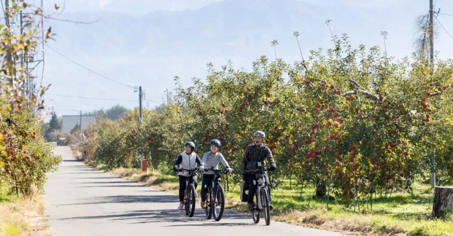 Orchard Cycling Tour With Picnic Lunch in the Alps of Nagano