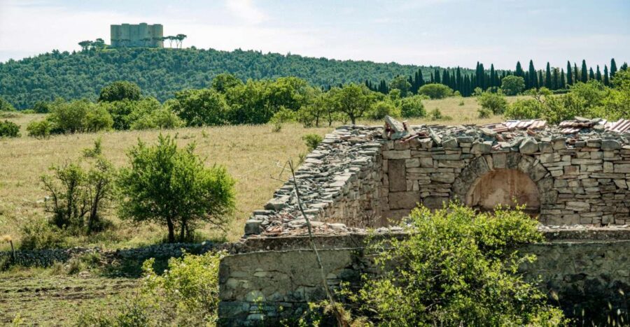 Organized Tour From Bari to Castel Del Monte