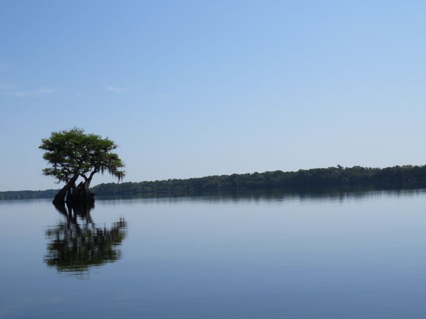 Orlandos Lake Norris: 5-Hour Kayak Explorer Tour With Lunch