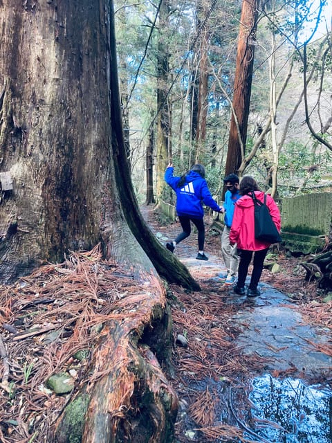 Osaka Izumisano: Mt. Inunaki Trekking and Goma Prayer - Itinerary and Activities