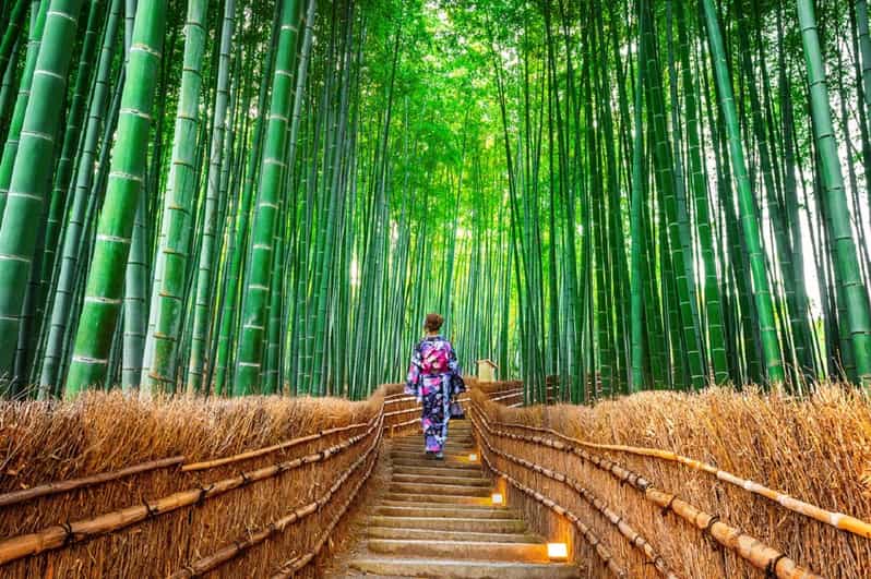 Osaka/Kyoto: Sanzenin, Arashiyama Train, Bamboo Forest Trip