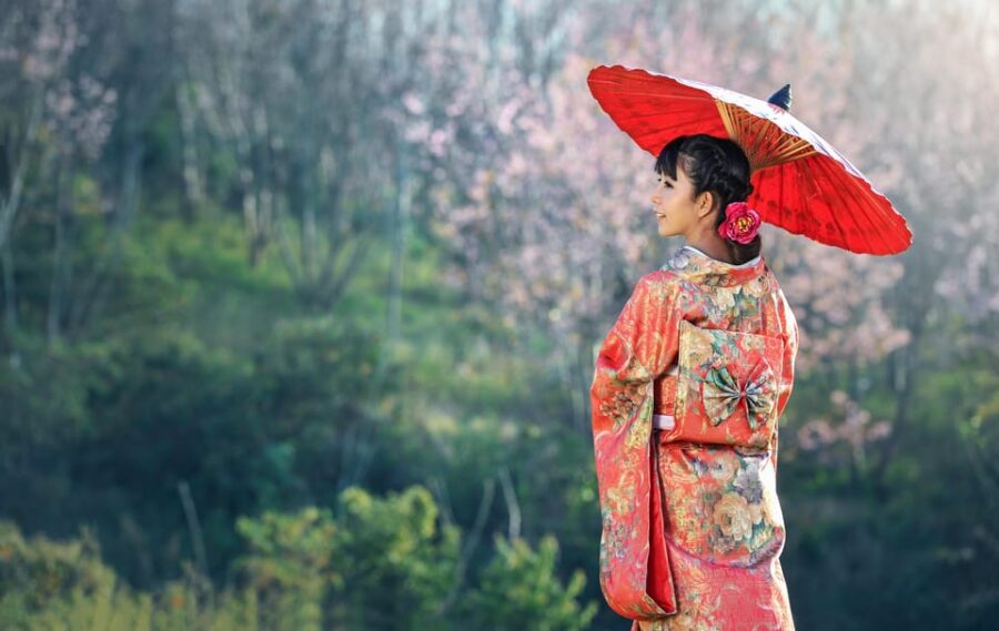 Osaka Kyoto Transfer:10 Hours English Driver