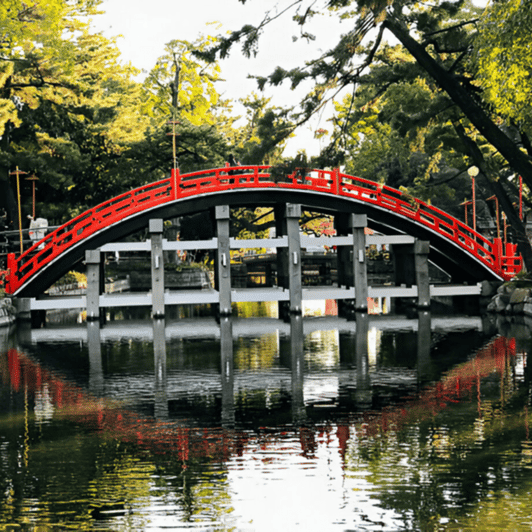 Osaka: Private Customizable Tour By English Speaking Driver