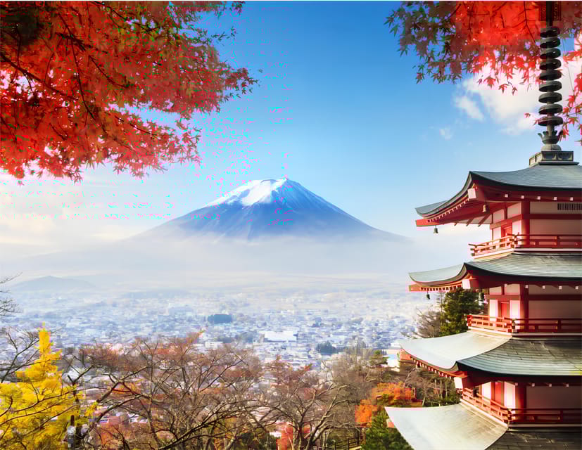 23 Best Tours In Fujinomiya