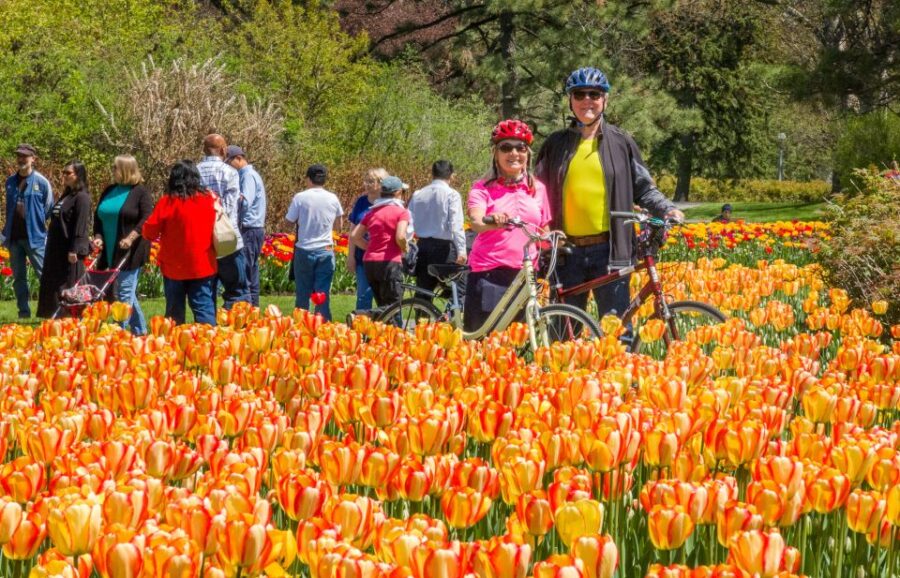 Ottawa: 2 or 3.5-Hour Sightseeing Bike Tour - Tour Overview