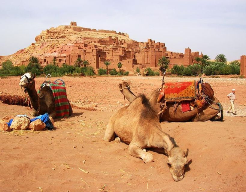 Ouarzazate Day Trip