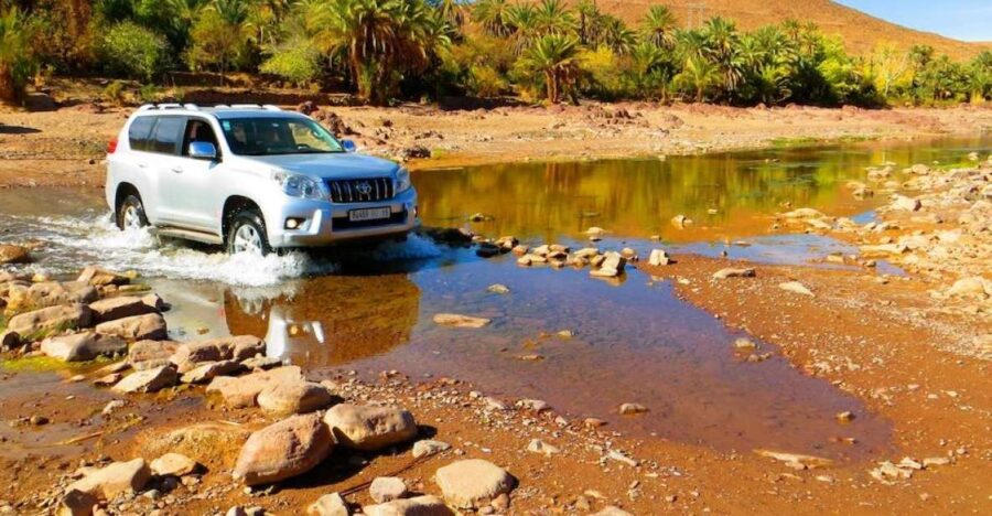 Ouarzazate: Private Full-Day Tour and Oasis Fint