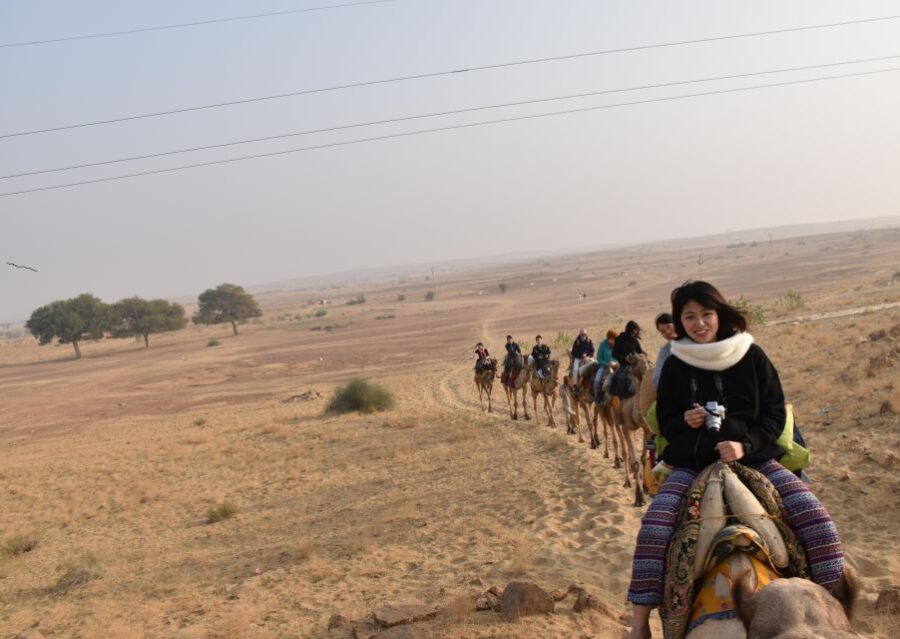 Overnight Luxury Desert Camping With Camel Safari - Tour Overview and Pricing
