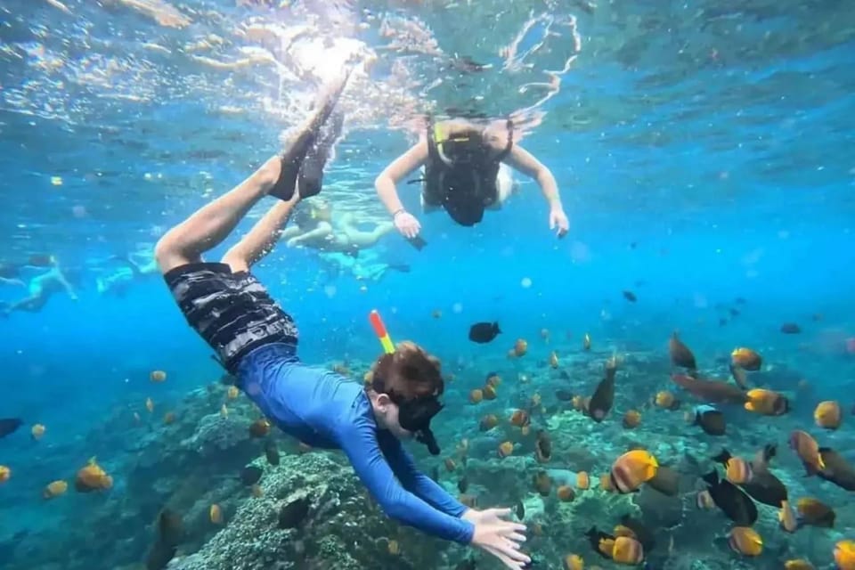 Padang Bai Snorkeling Package