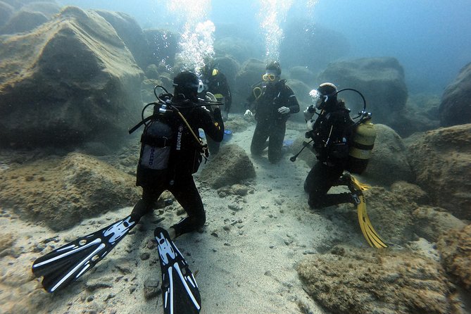PADI Open Water Course in Costa Adeje