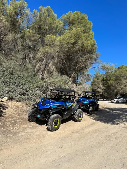 Paguera: 2 Hour Buggy Tour