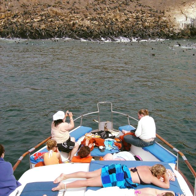 Palomino Islands Yacht Tour and Swim Alongside the Sea Lions