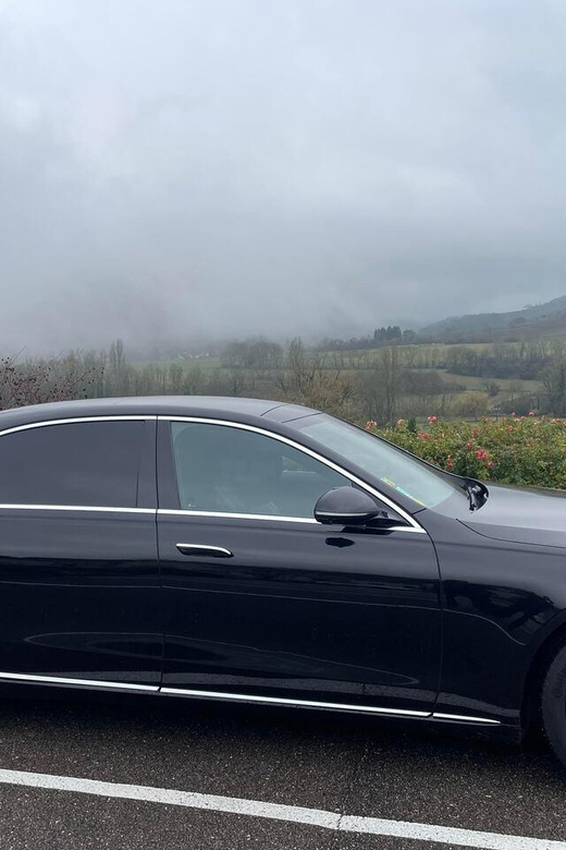 Paris: Private Executive Orly Airport Transfer