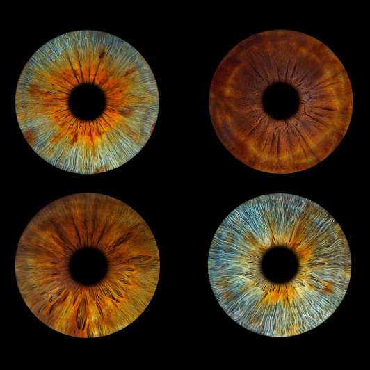 Paris: Professional Iris Photography With a Framed Print