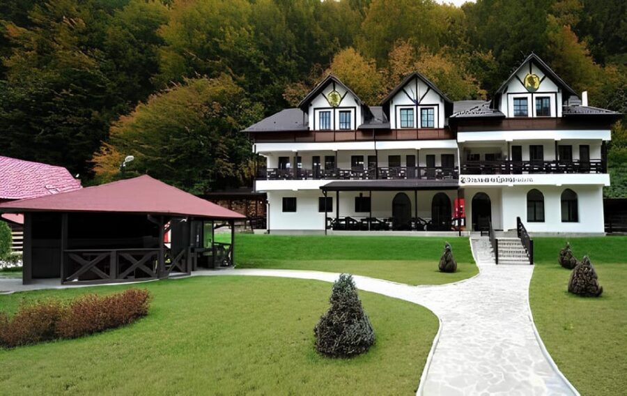 PEACEFUL HOLIDAY IN THE VALEA VÂLSANULUI-BRĂDET