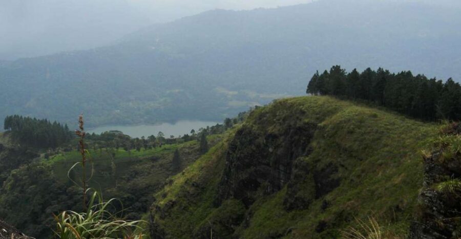 Peacock Hill Trek