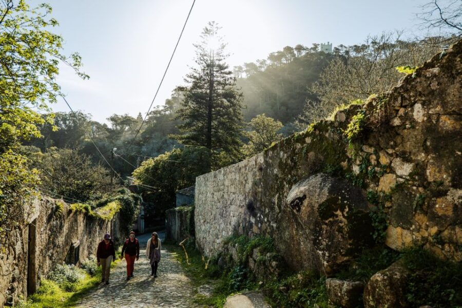 Pena Palace, Moorish Castle,Quinta Ad Regaleira:Walking Tour - Tour Overview