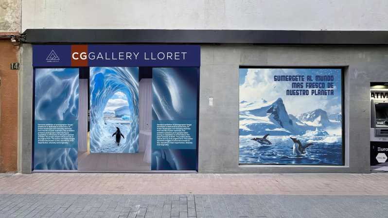 Penguins World Interactive Photo Exhibition