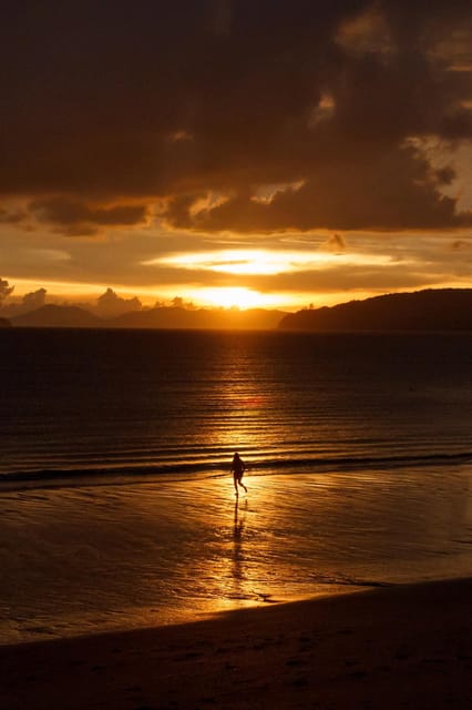 Phi Phi & 4 Islands Sunset Tour + Bioluminescent Planktons