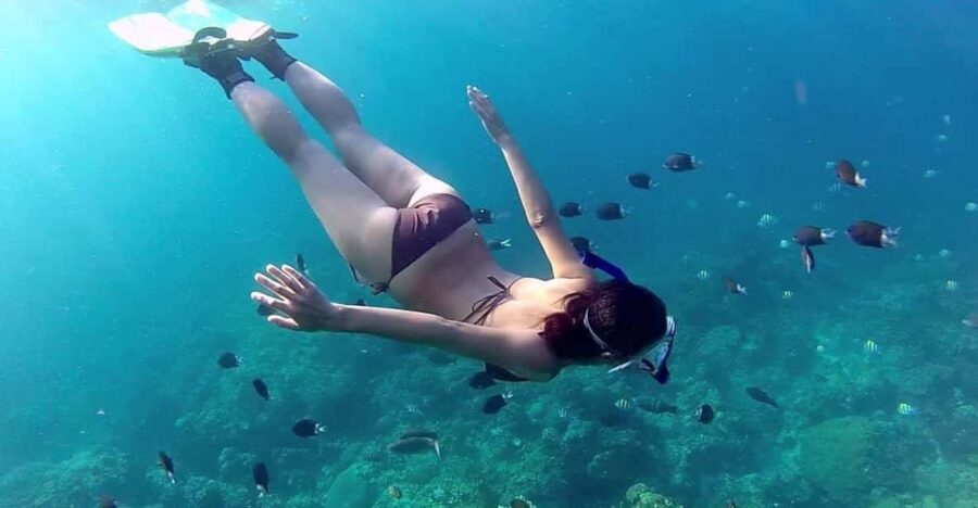 Phu Quoc Pro-Guided Coral Reef Diving Experience