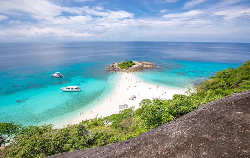 2 Best Dolphin Watching Tours In Phuket City