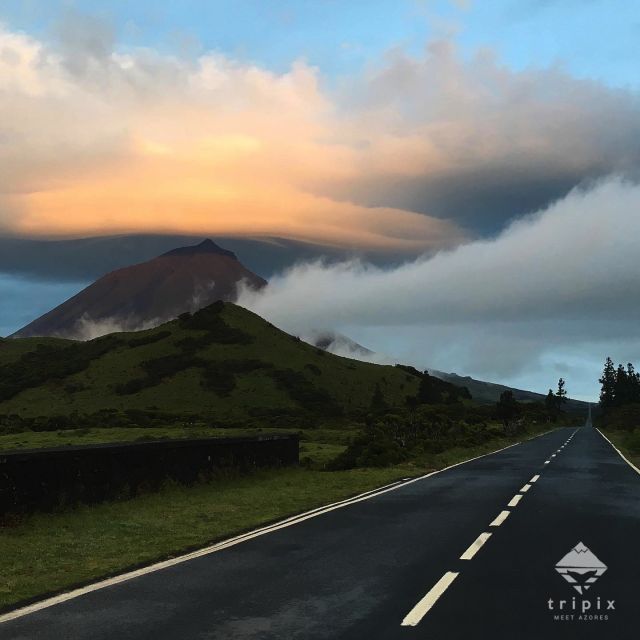 Pico Day Tour: Get to Know Pico Island With a Local Guide