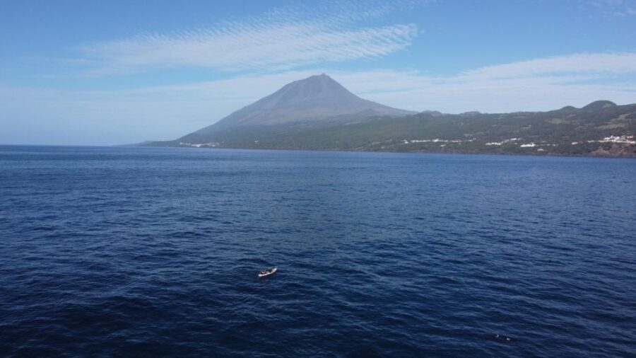 3 Best Tours In Pico Island