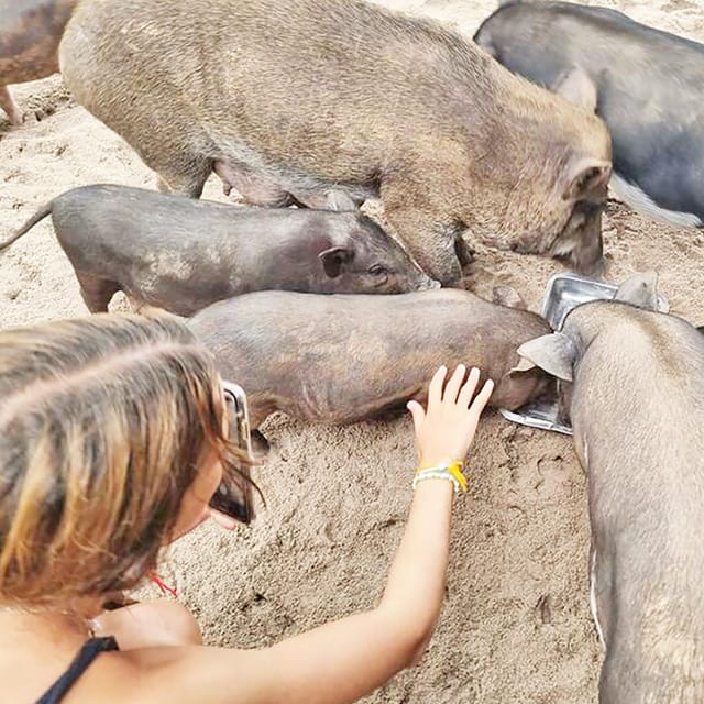 PIG ISLAND VIP SNORKELING LONGTAIL BOAT KOH MUDSUM & KOH TAN