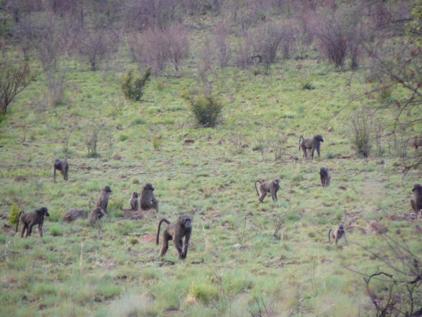 Pilanesberg National Park