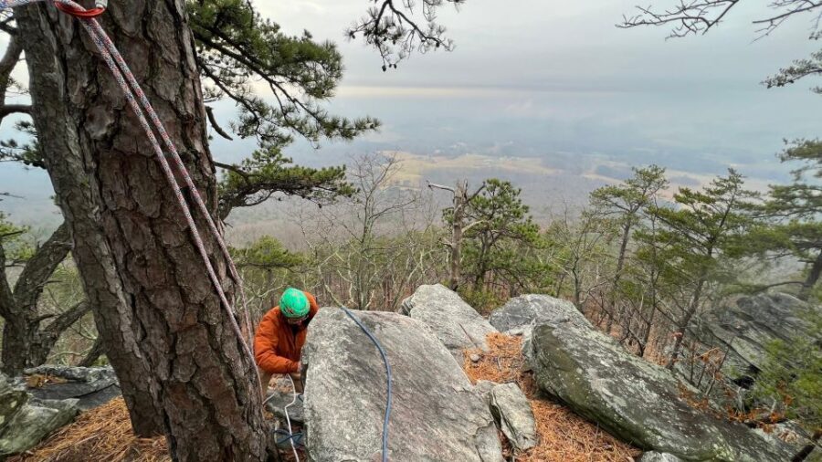 Best Guided Tours In North Carolina