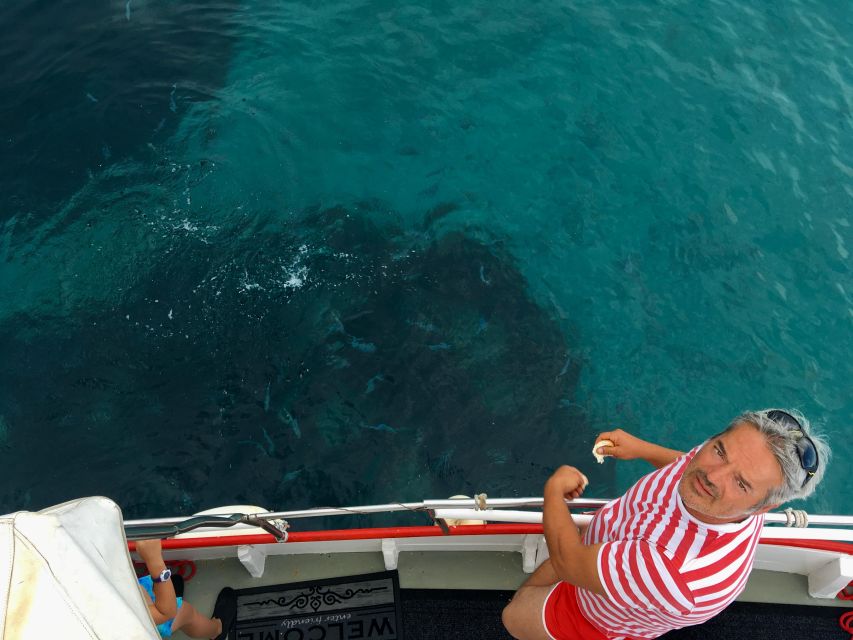 Plavnik Island: Swim and Snorkel With Captain Bobo (5,5h)