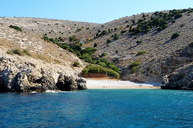 Plavnik Island & Wild Bays Full-Day Boat Trip With Capt. Bobo