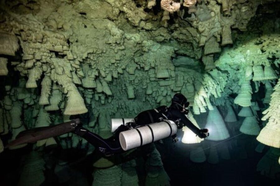 Playa Del Carmen: Chac Mool Cenote Dive