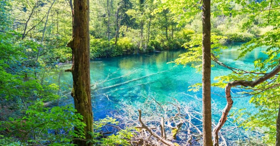 Plitvice Lakes Private Full Day Tour From Dubrovnik