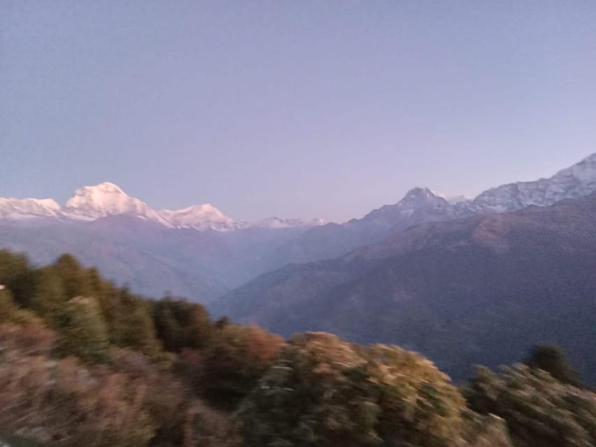 Pokhara: 3-Day Easy Pulse Poon Hill Trek.