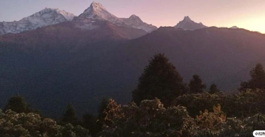 Pokhara: 4-Day Poon Hill Guided Trek via Ghandruk.