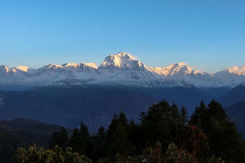 Pokhara: 4-Day Poon Hill Trek With Accommodation