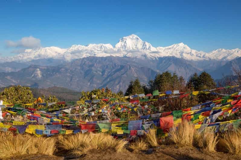 Pokhara: Poon Hill and Ghandruk Guided Trek (4 Days) - Trek Overview