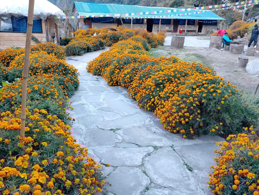 Pokhara to Dudhpokhari Trek via Thurju & Thurjudanfe Kharka