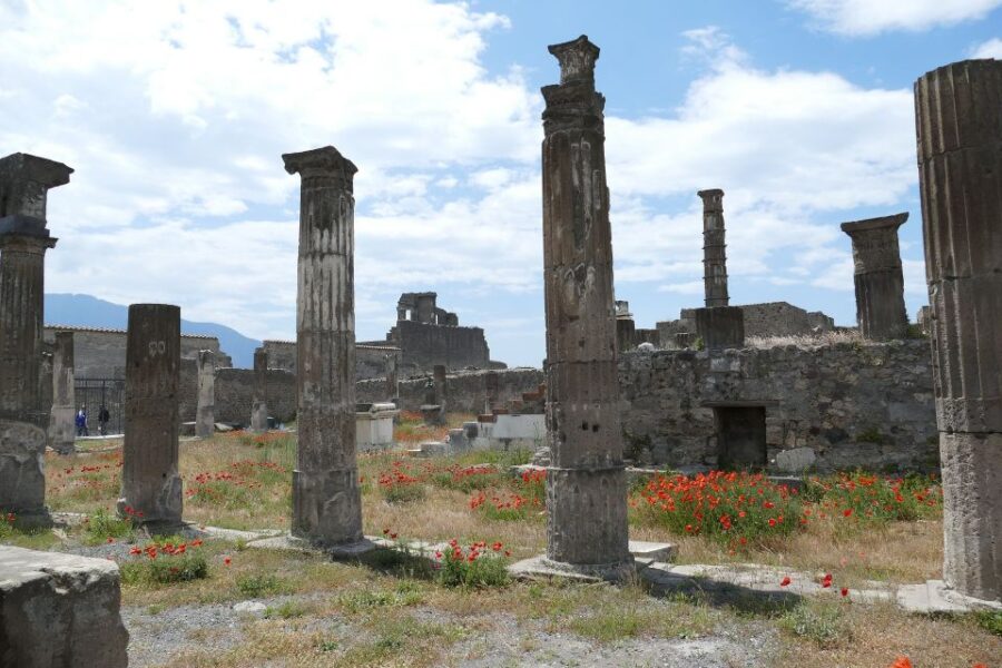 Pompeii: Private Guided Tour With Lunch