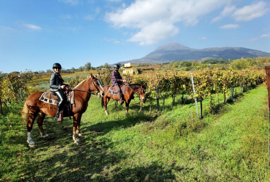 Pompeii: Ruins Tour and Mount Vesuvius Horseback Ride