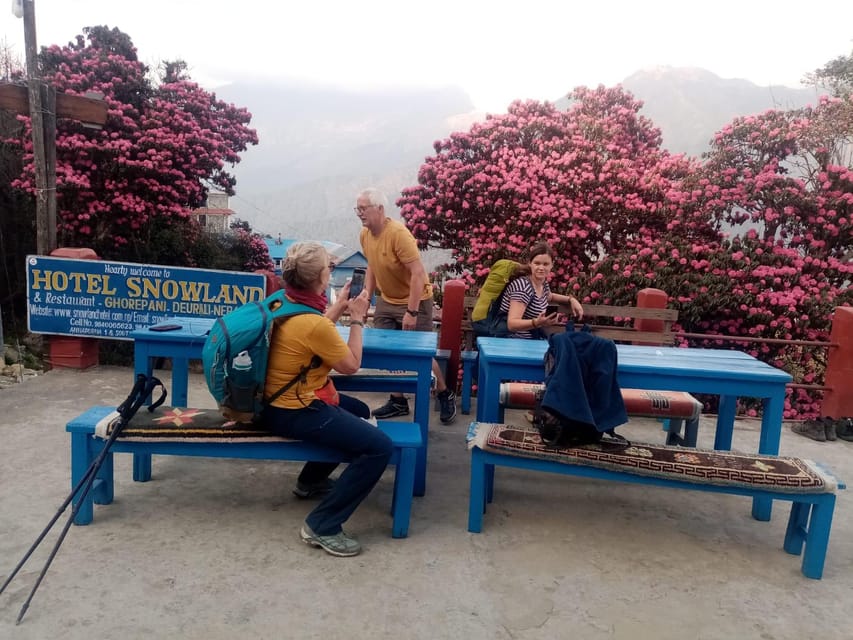 Poon Hill in Three Days: a Perfect Short Trek From Pokhara